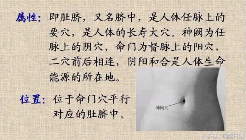 神阙穴,