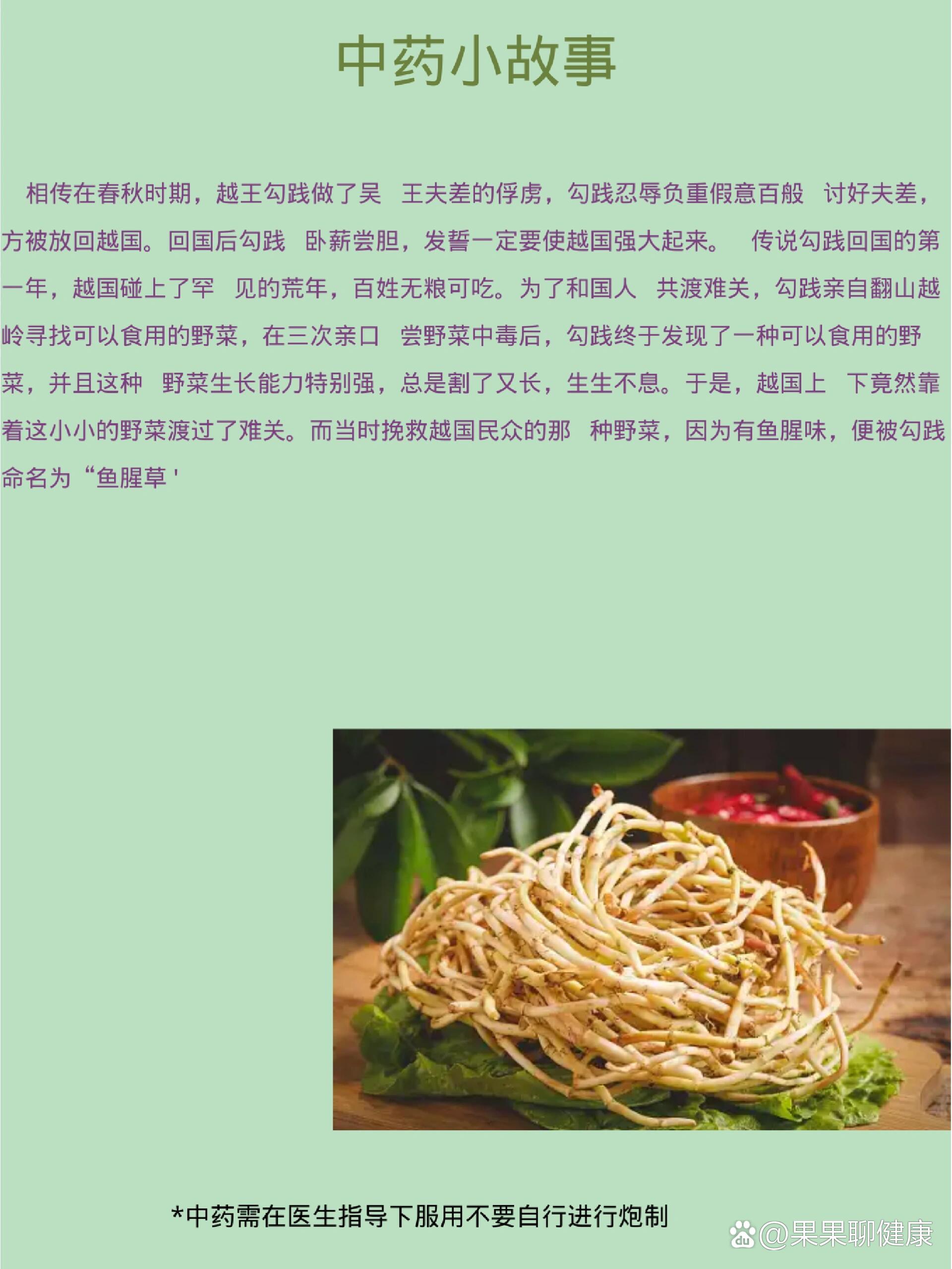 每天认识一味药91鱼腥草