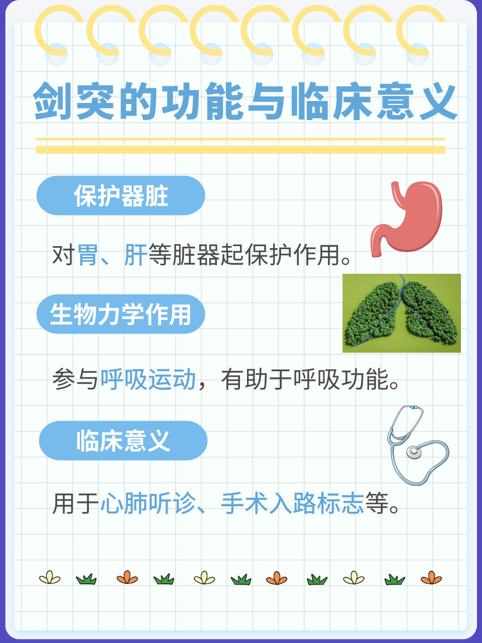 剑突的位置在哪里?日常呵护指南