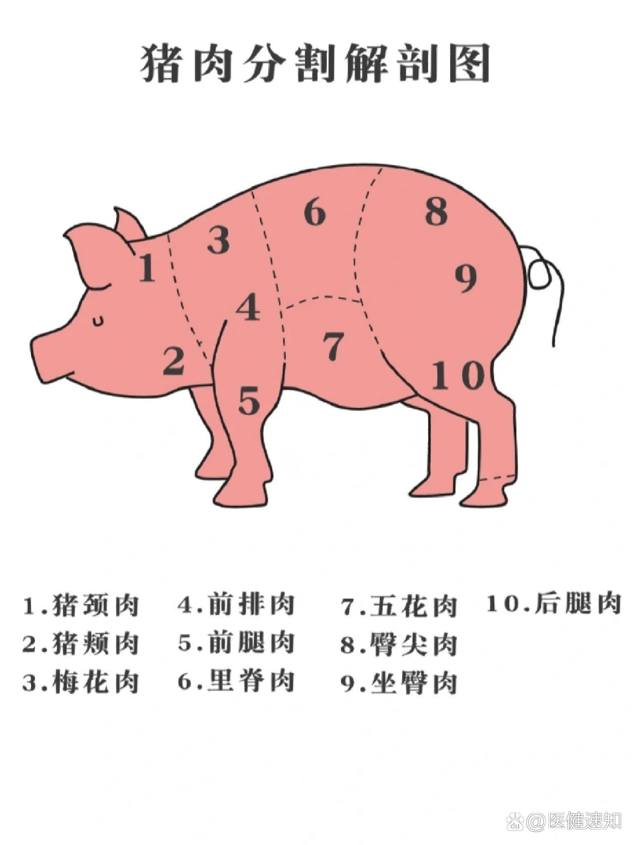 最全猪肉部位图解！