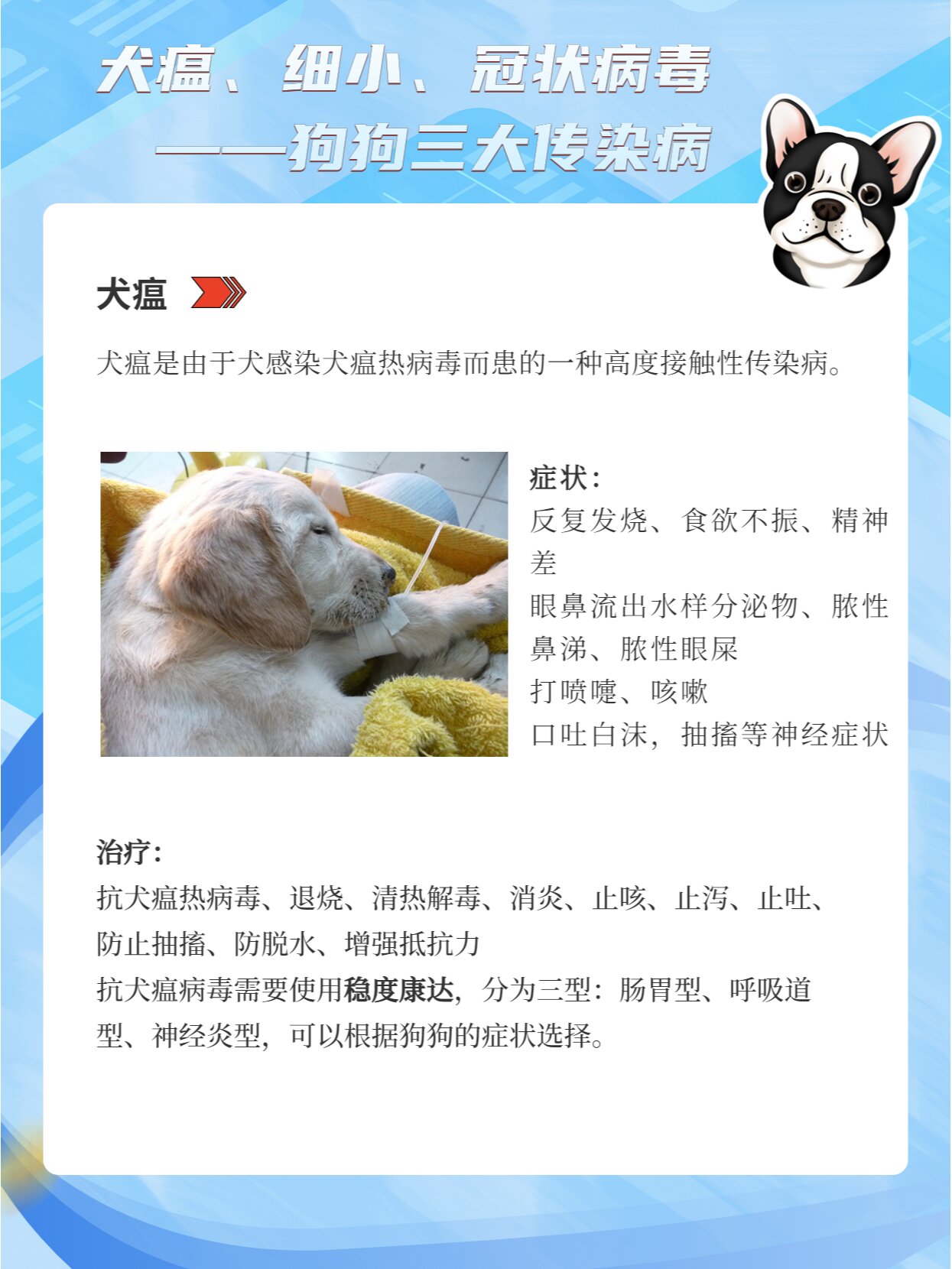 犬瘟采样图片