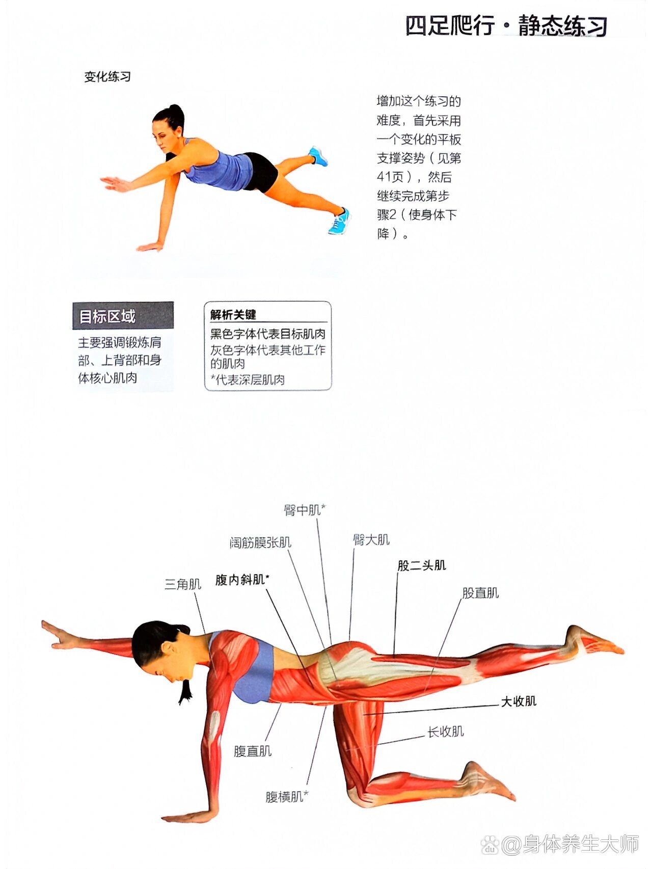 深层核心稳定肌怎么练?