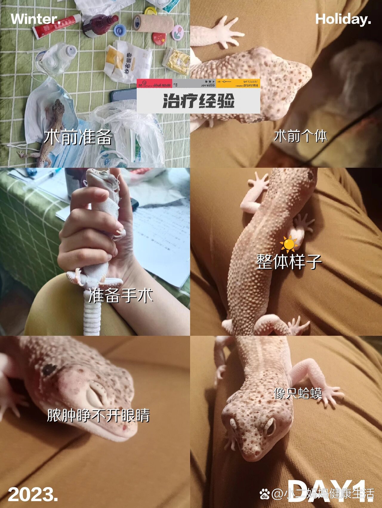 治疗豹纹守宫因卡皮导致的脓肿治疗经验分享