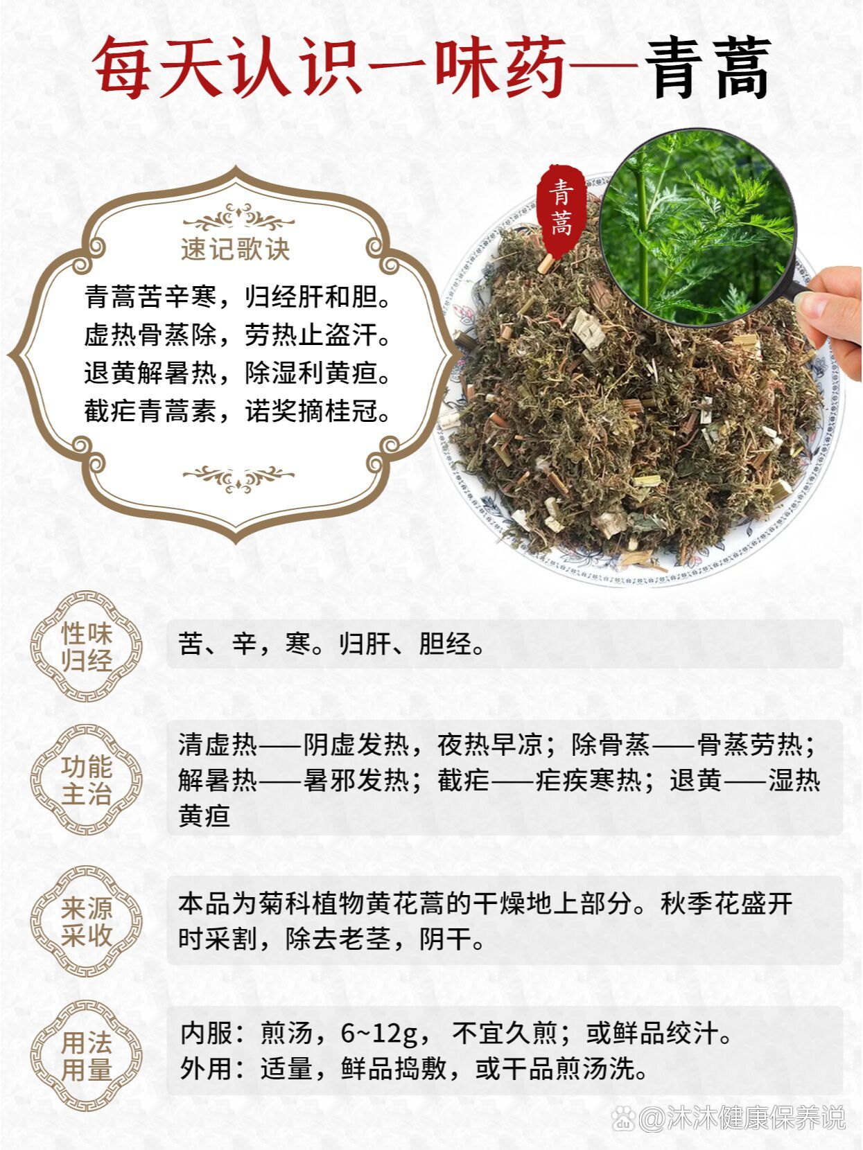 每天认识一味中药~青蒿