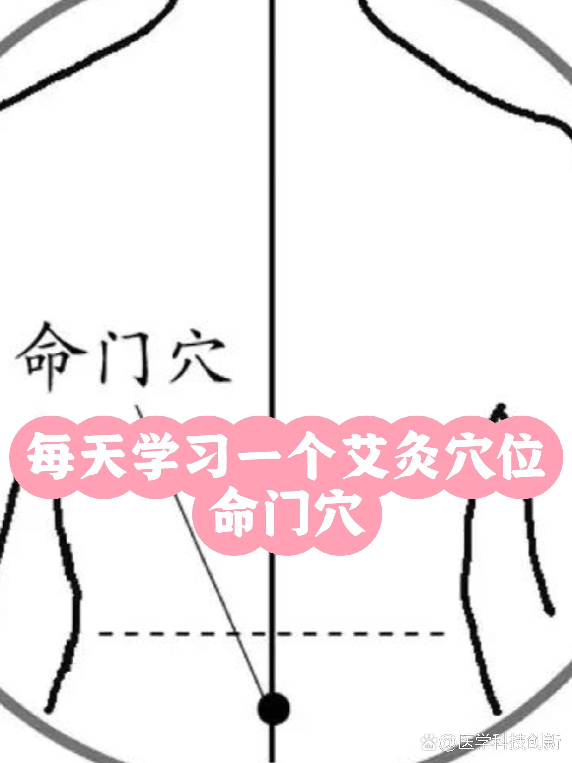 人体命门的准确位置图图片