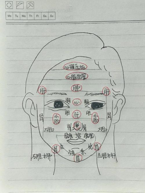 👀《灵枢》面诊图详解
