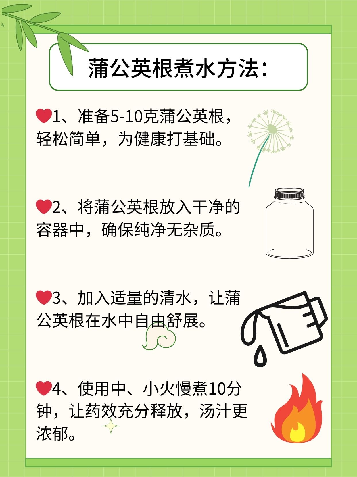 蒲公英有什么药用价值图片