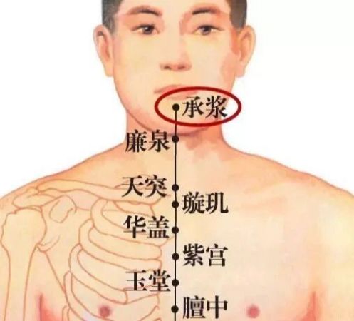穴位小知识——承浆穴