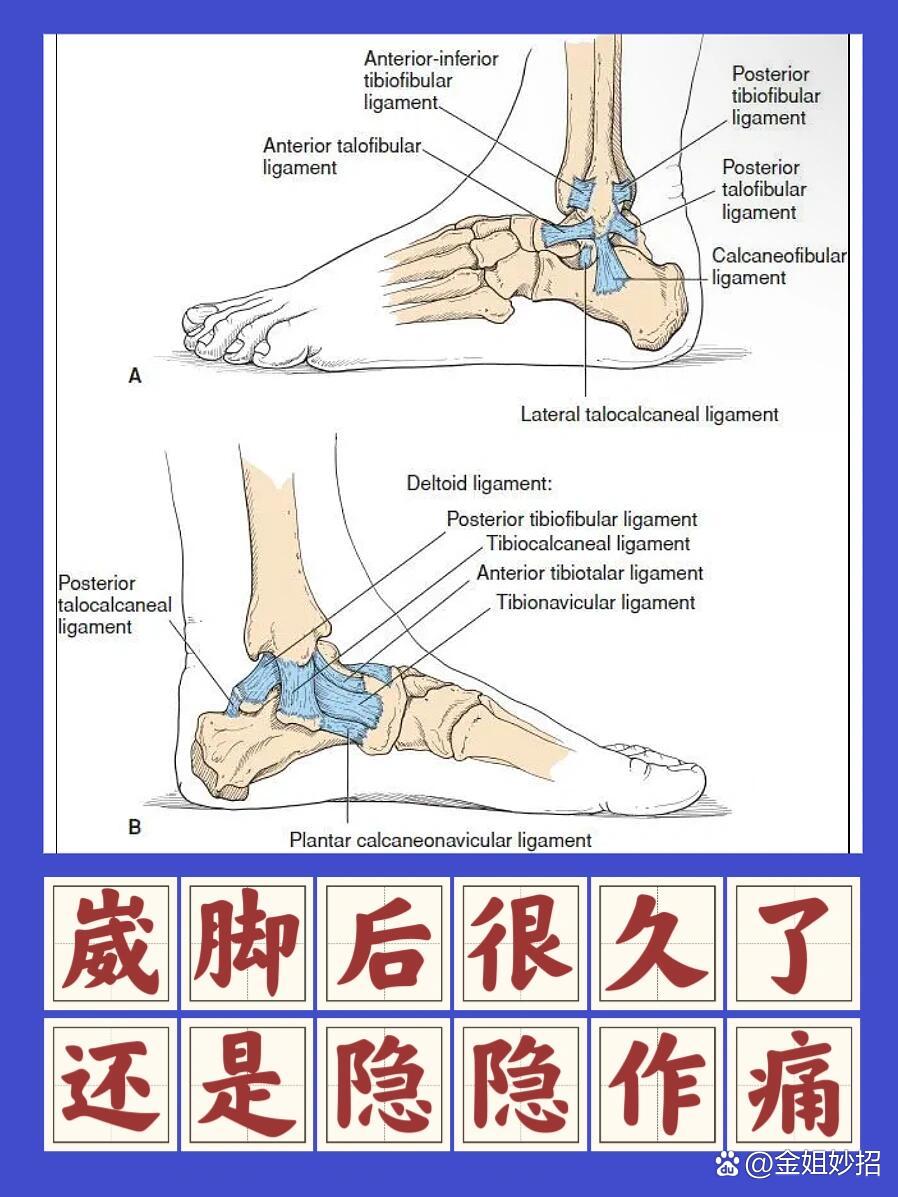 崴脚后半年还疼,原来真相是它