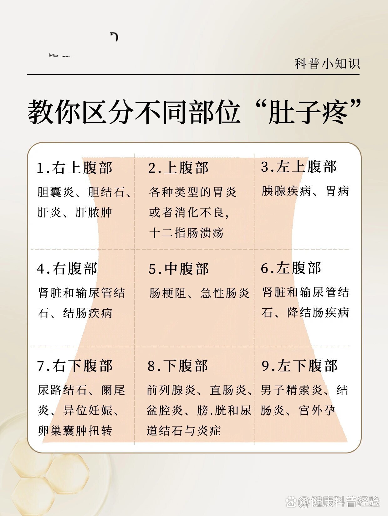 很多人所谓的肚子疼其实都是一个笼统的概念