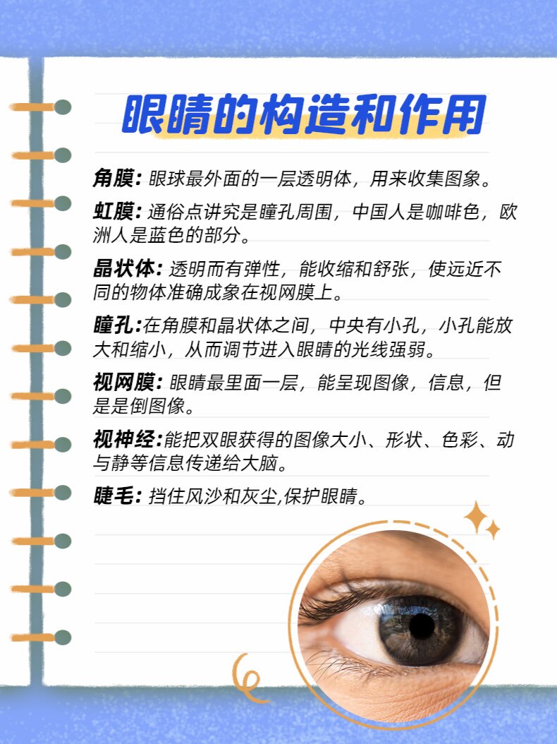 眼睛的重要性内容图片