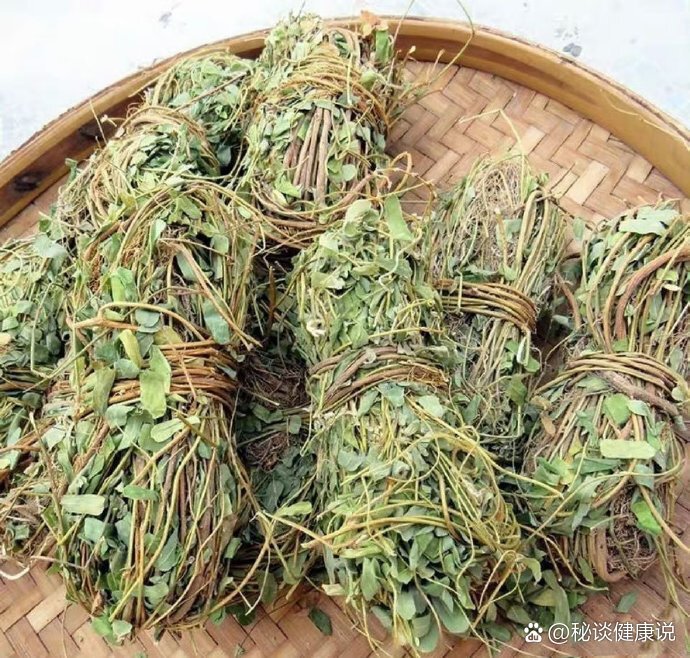 鸡骨草,保肝护肝