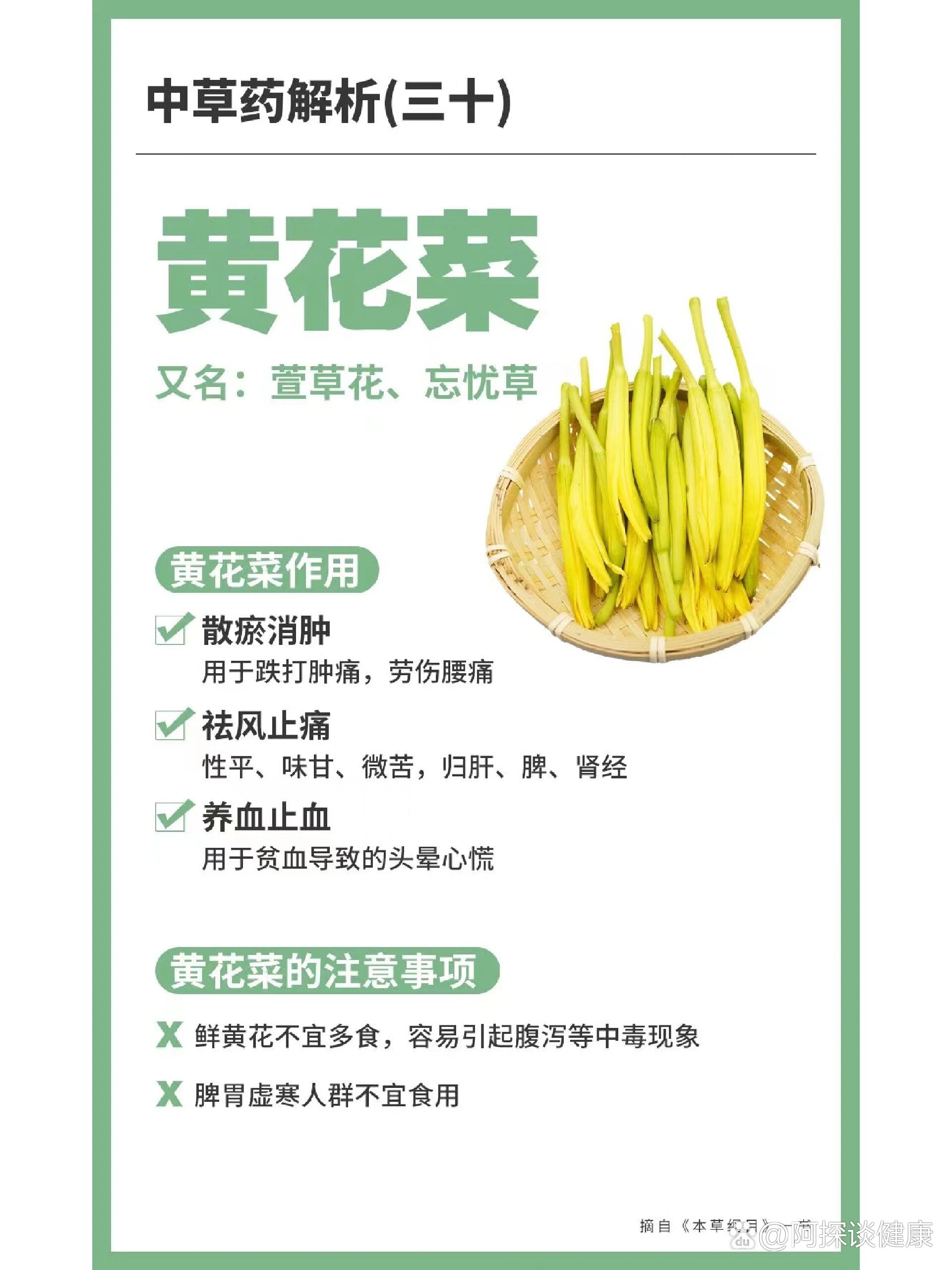 金针菜的作用与功效图片