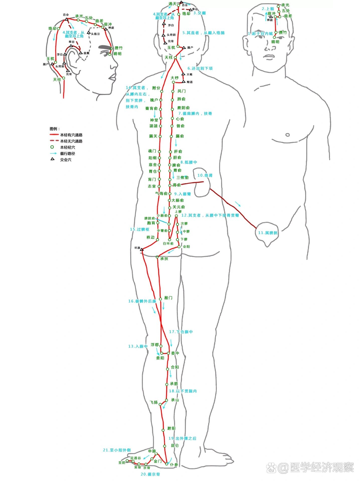 督脉(诸阳之会)循行路线图