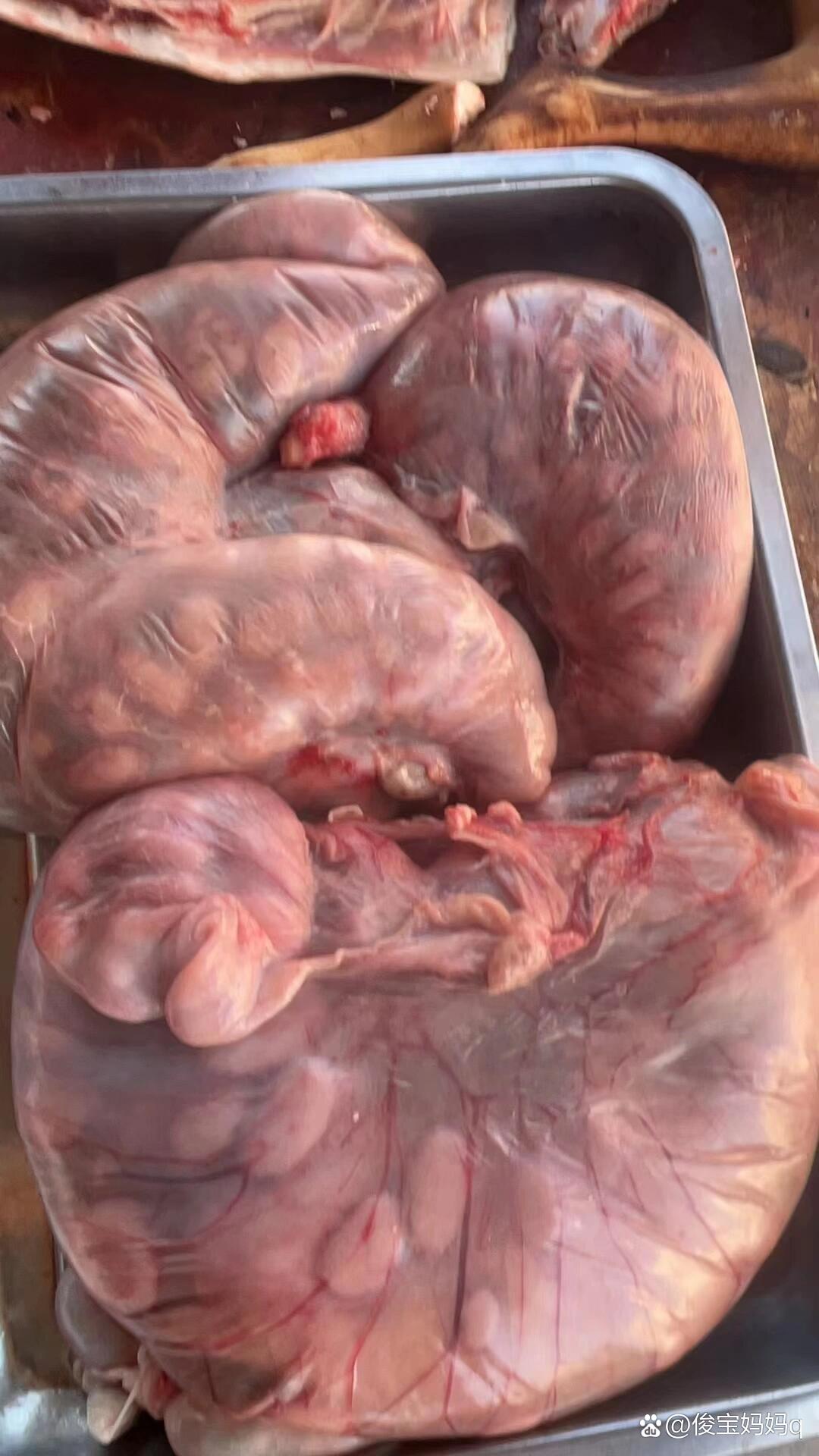 大补食材——羊胎盘,估计大部分人不敢吃