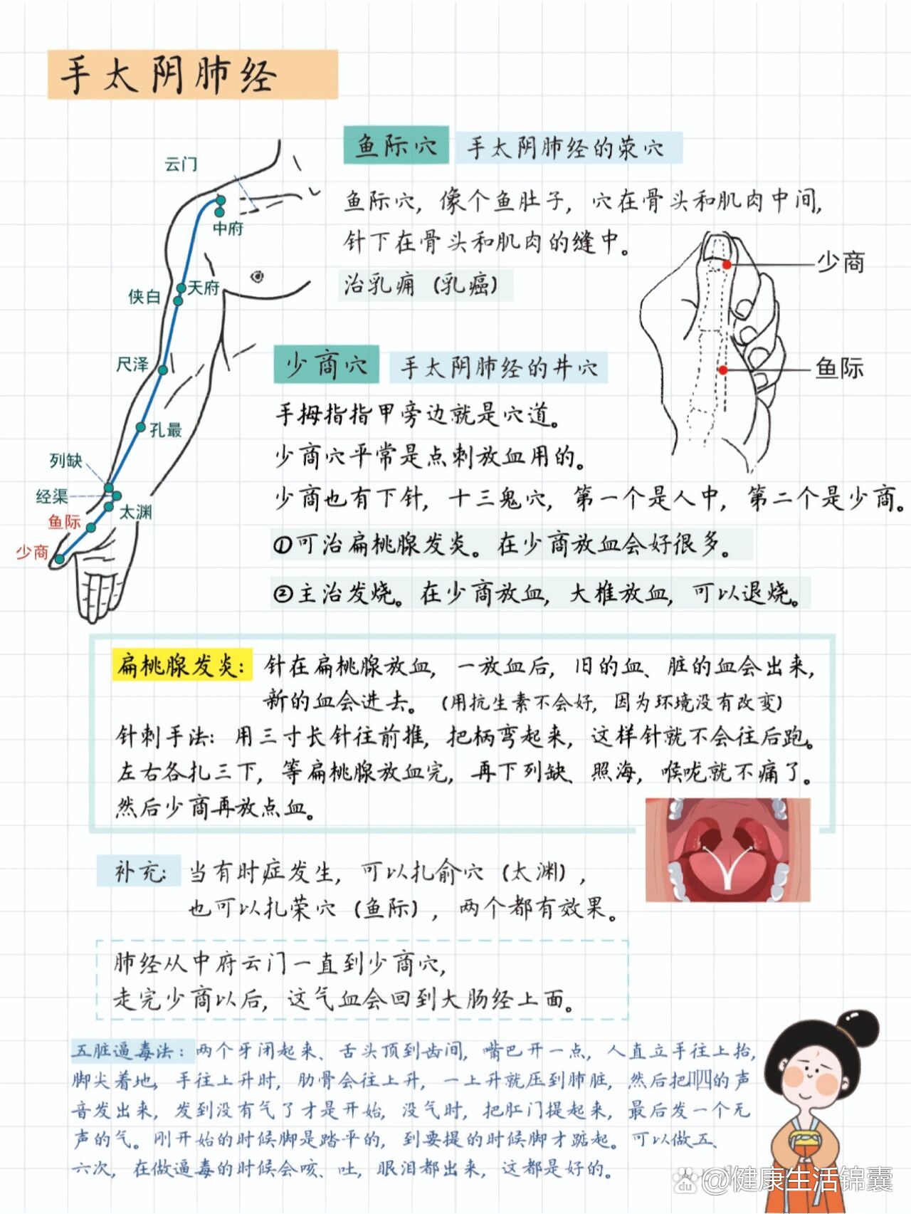 倪海厦人纪针灸学习笔记-手太阴肺经05完