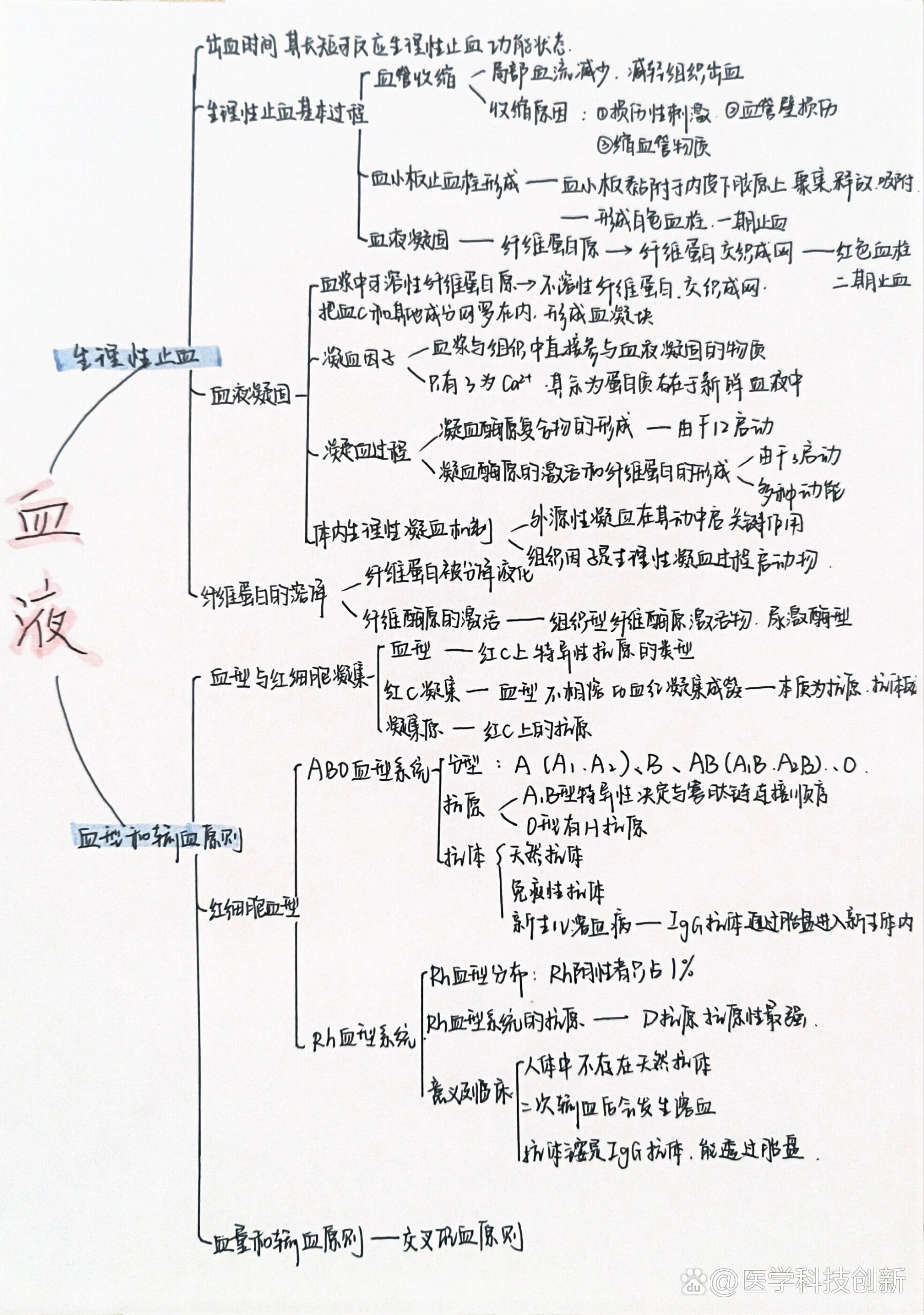 人体血液循环思维导图图片