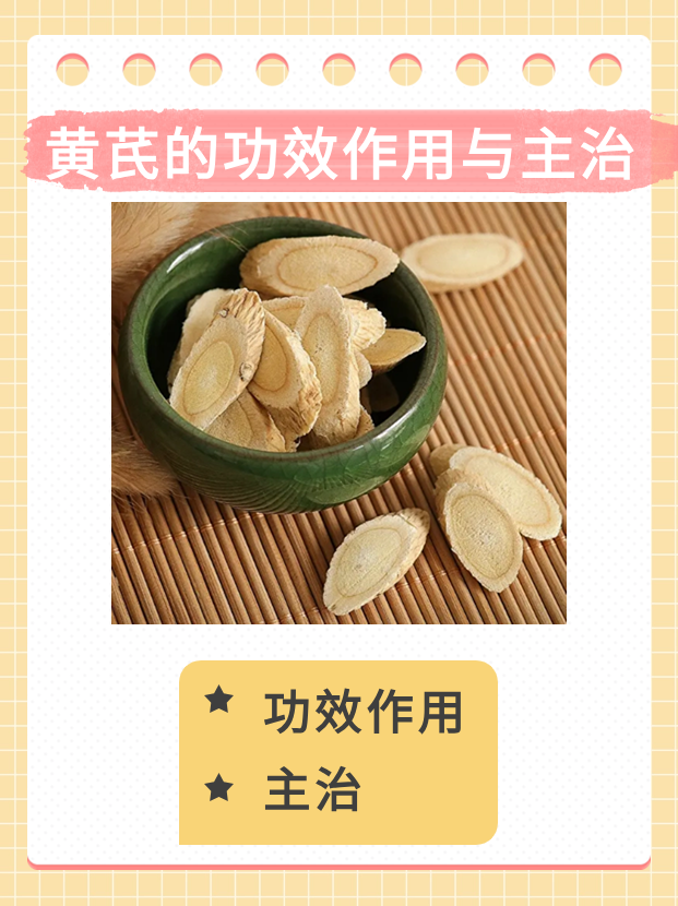 黄芪的功效作用与主治有这些