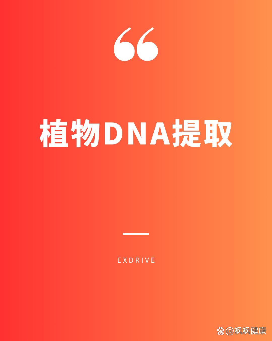 植物样本中提取dna是分子生物学实验的基础步骤,用于后续的pcr,基因