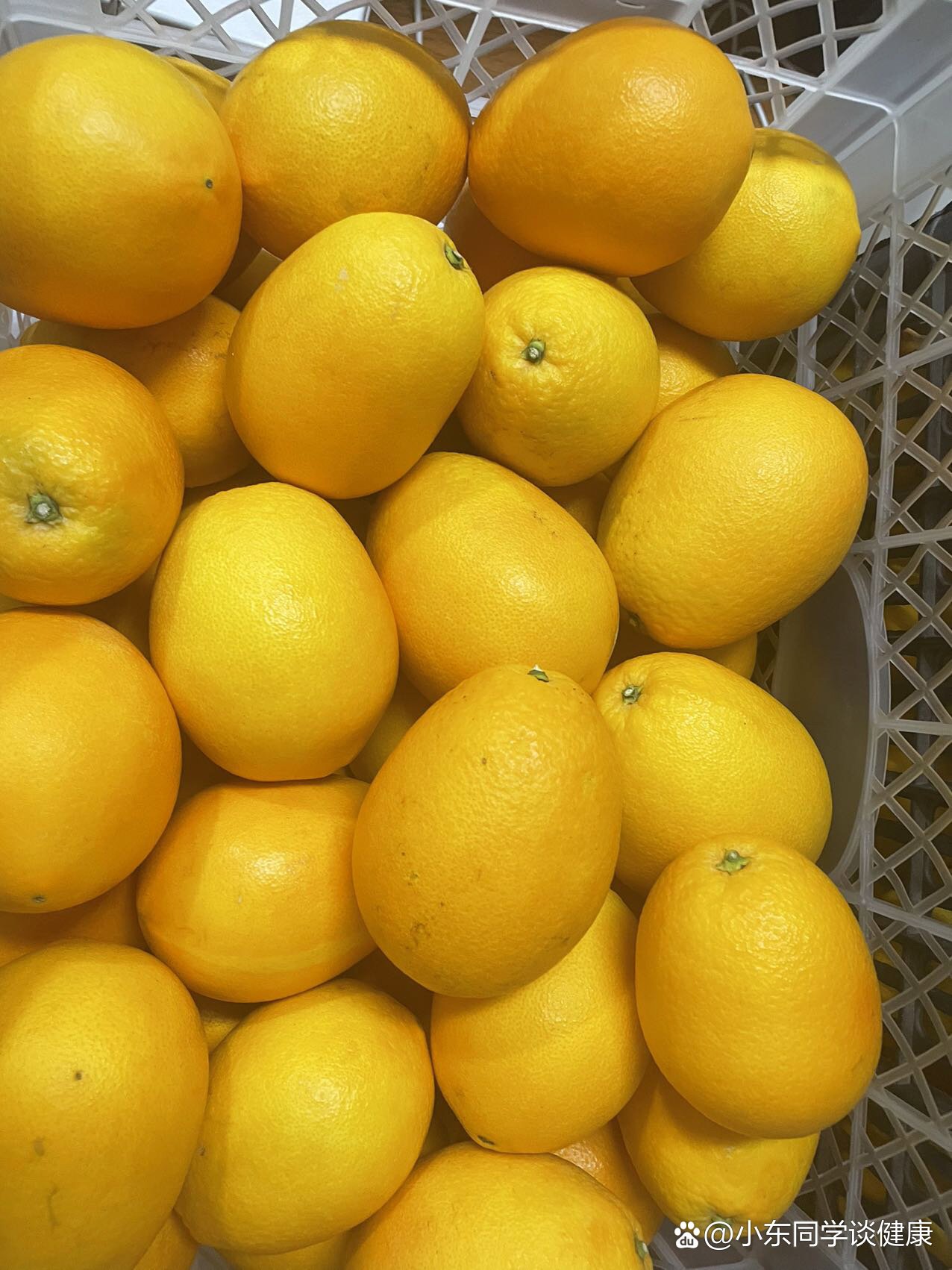 纯甜无酸木瓜蜜丁橙