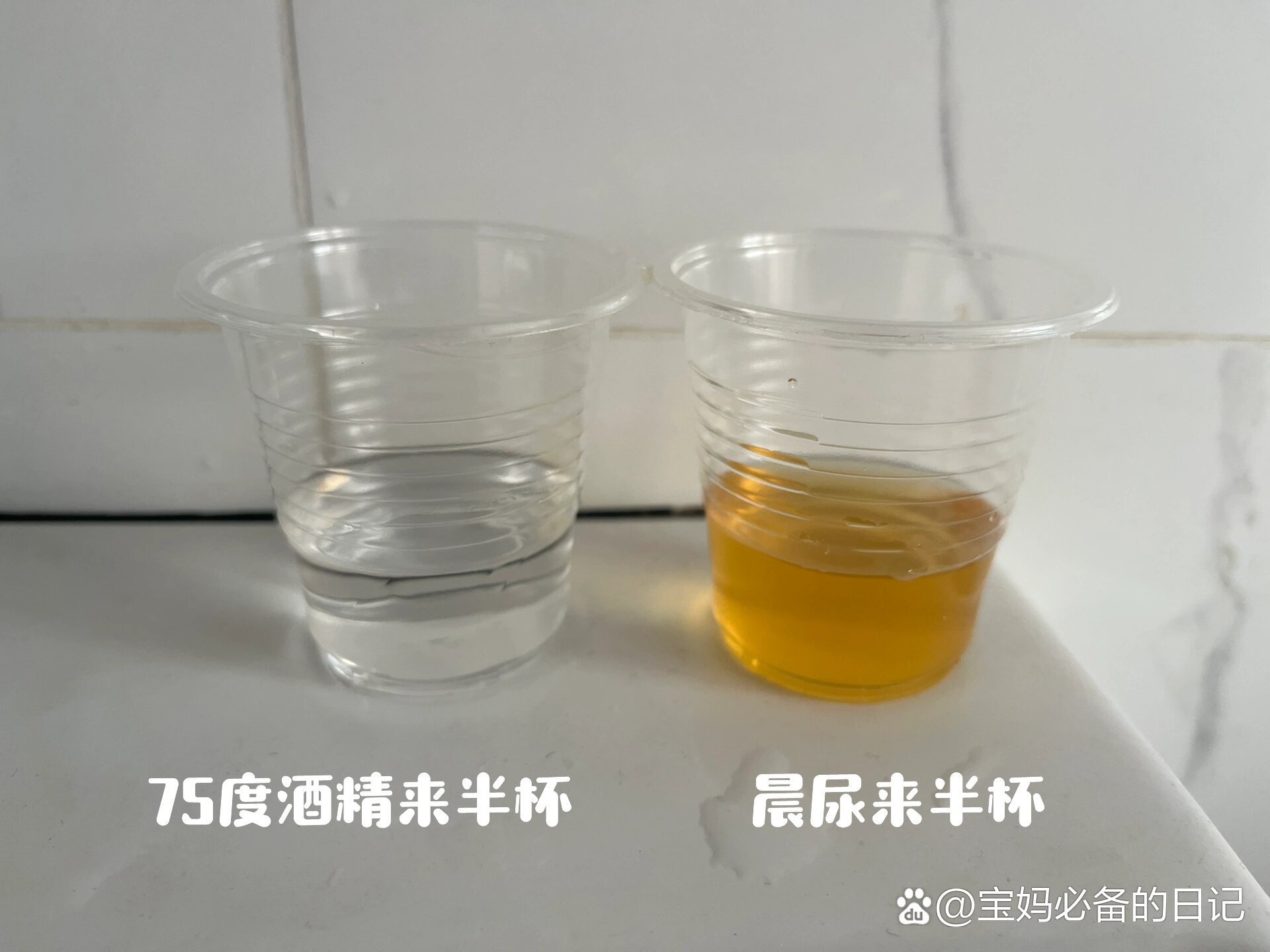 酒精 晨尿测试男女