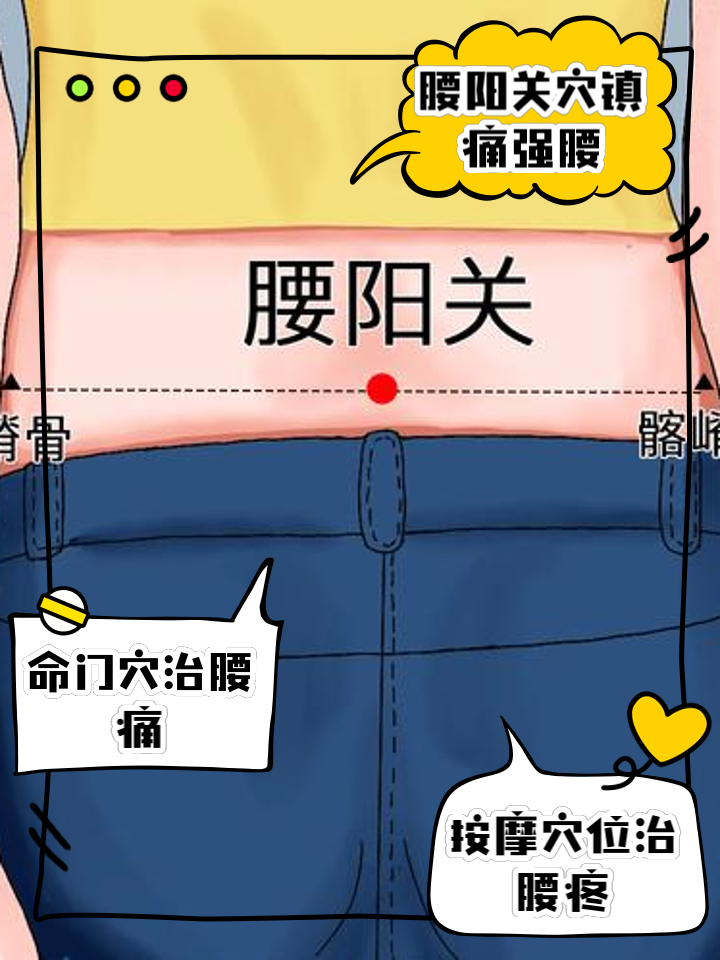 腰阳关和命门的准确位置图和作用