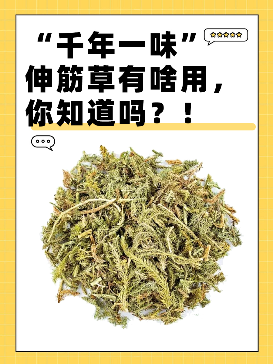 千年一味伸筋草有啥用