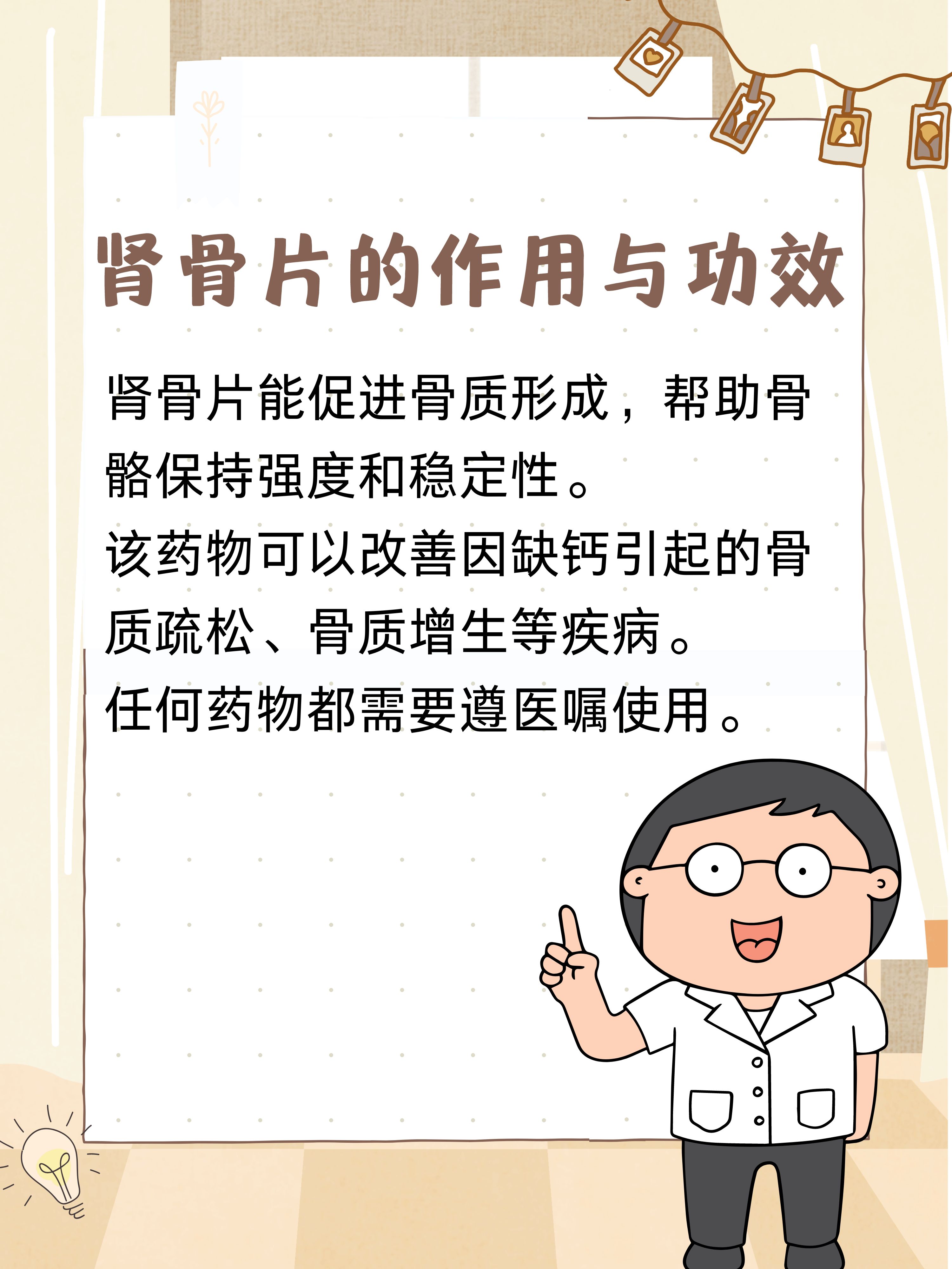 肾骨片的作用与功效一文解析!