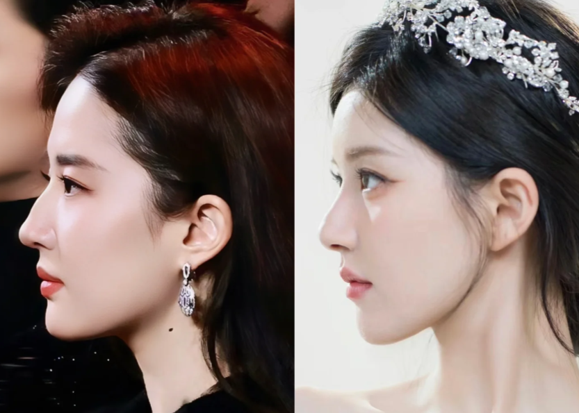 震惊!难道真的没人发现刘亦菲和赵露思