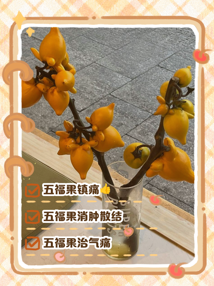 五福果的功效与作用