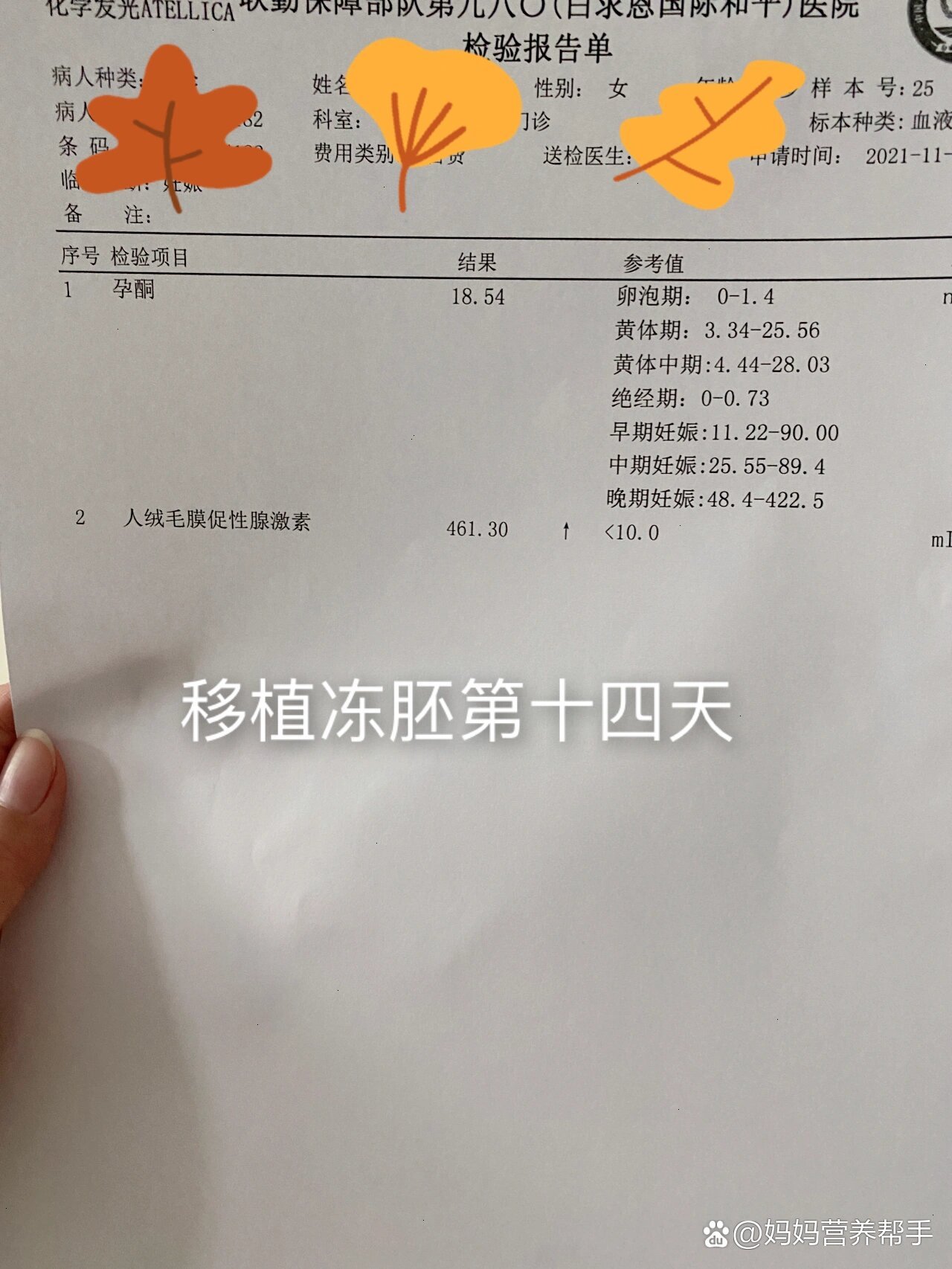移植冻胚15天hcg参考值_冻胚移植15天hcg一般多少