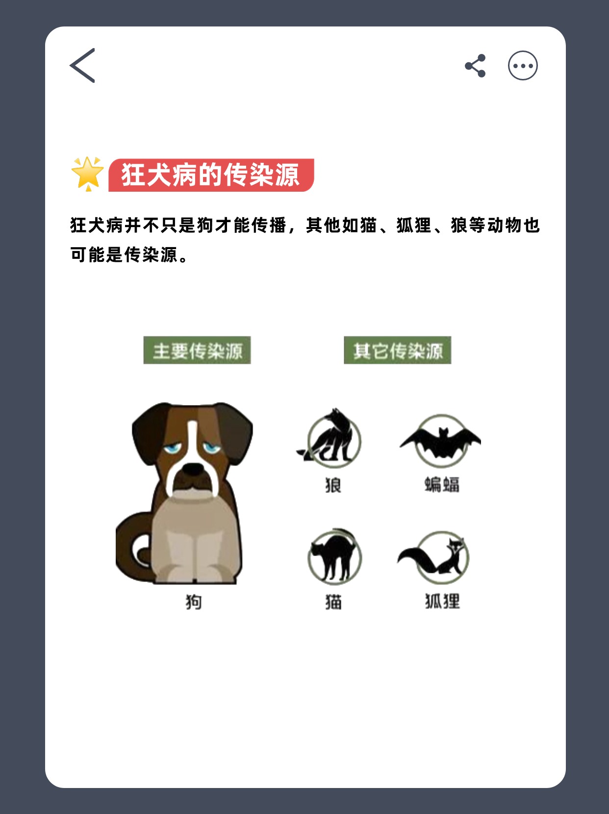 怎么判断人得了狂犬病图片