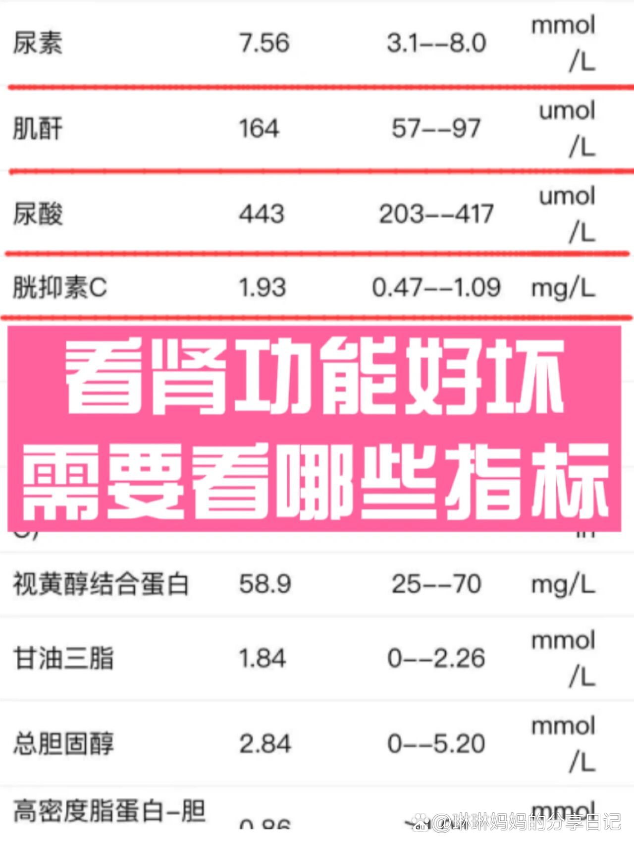 怎么看肾功能化验单图片