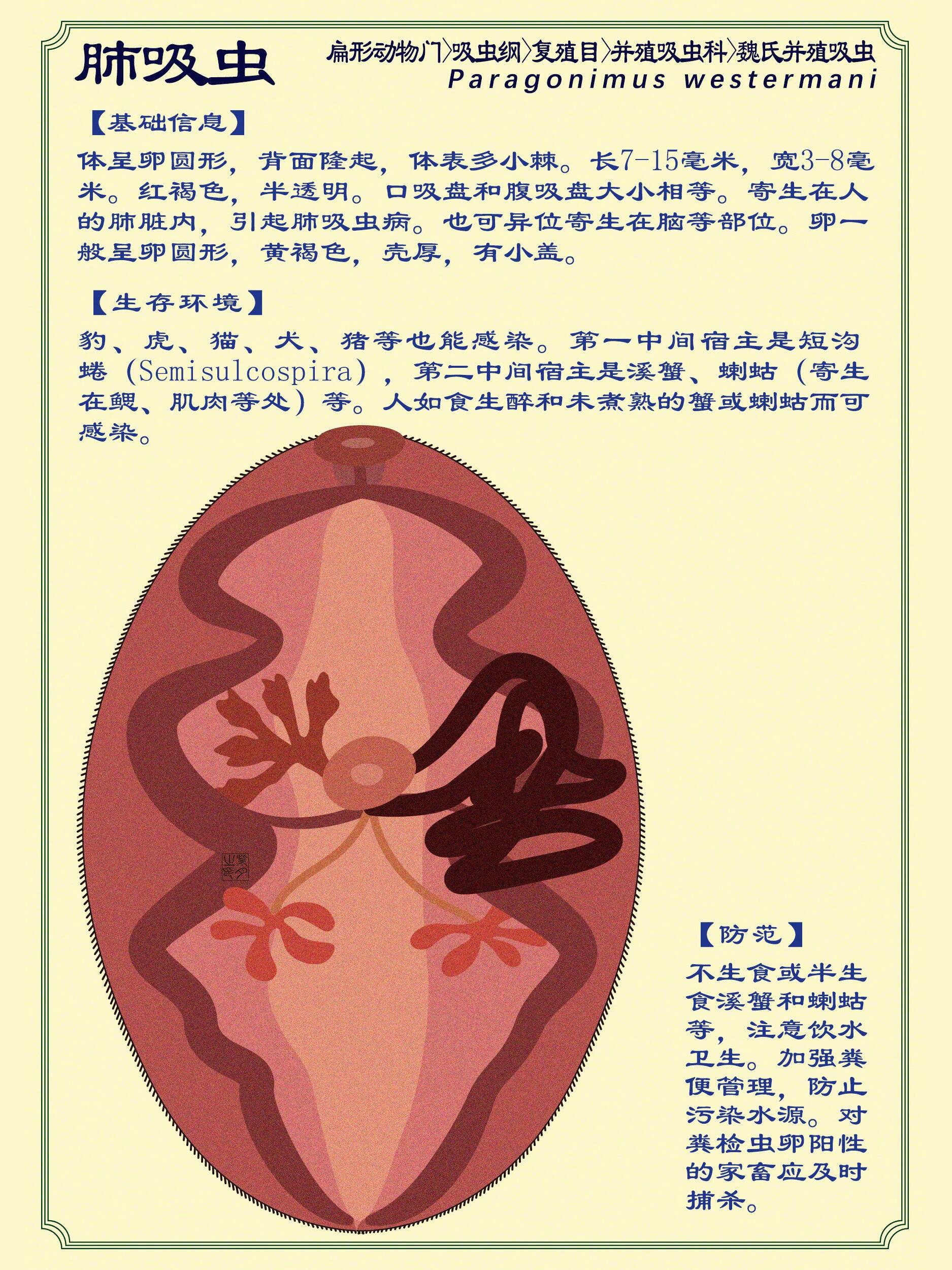 肺吸虫:附防范方法