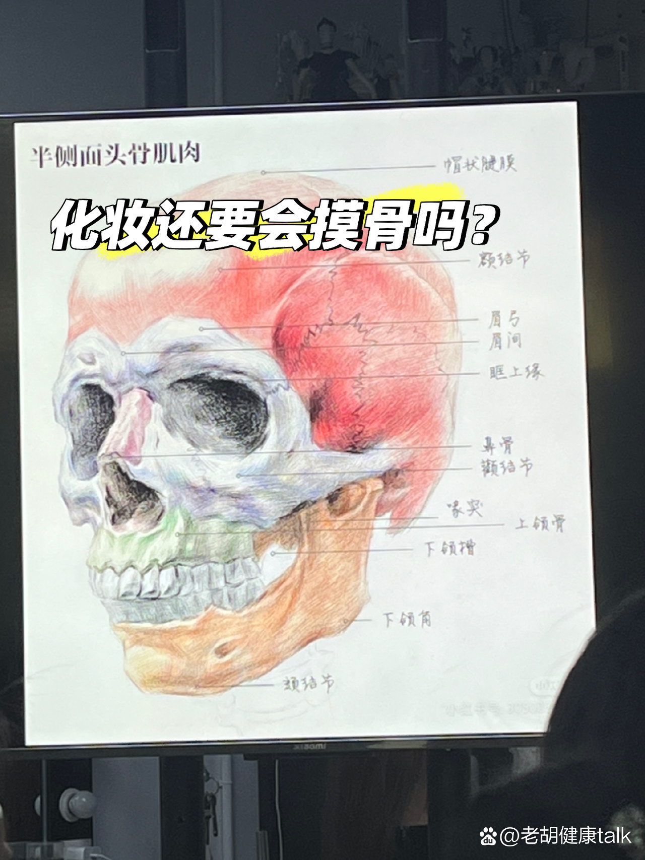 面部36个骨点图片