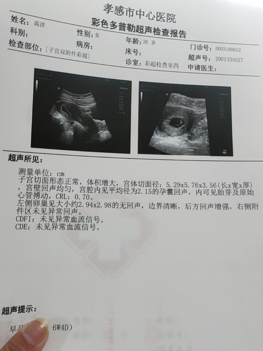 九周单胎变多胎