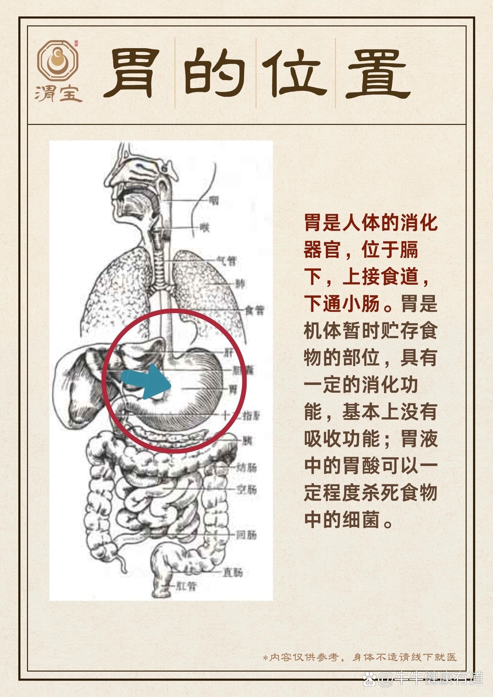 br 渭宝今天带uu们从胃的位置