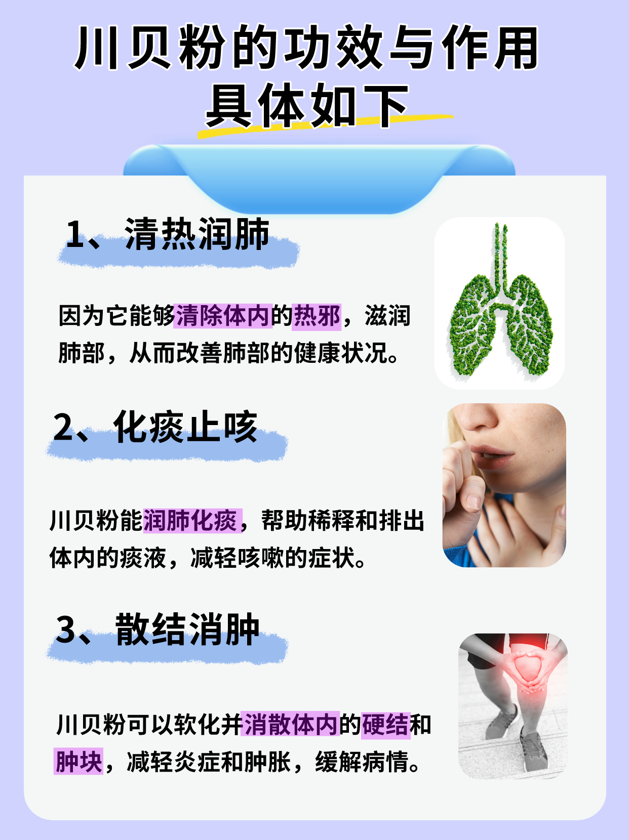 川贝粉的神奇功效与作用,原来在这里