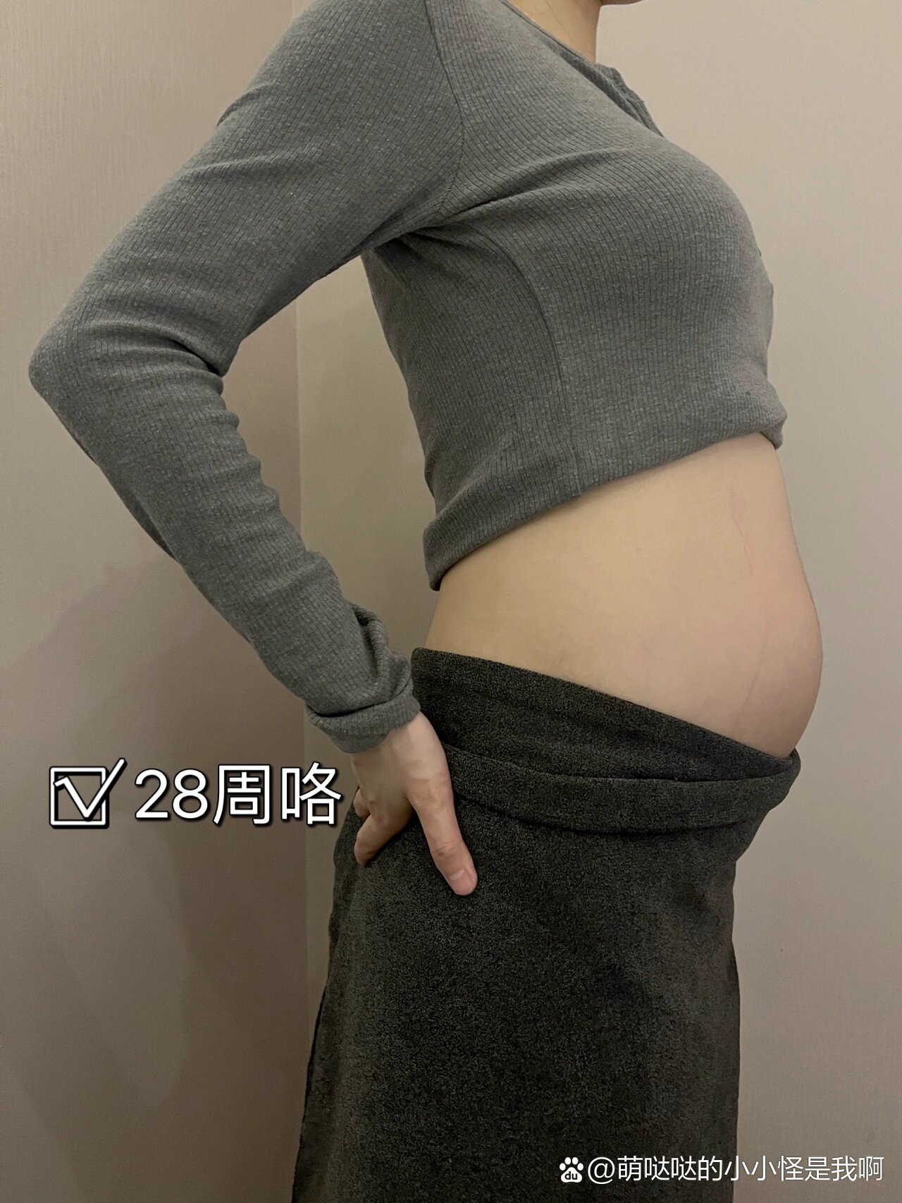 七个月大孕妇的小肚子