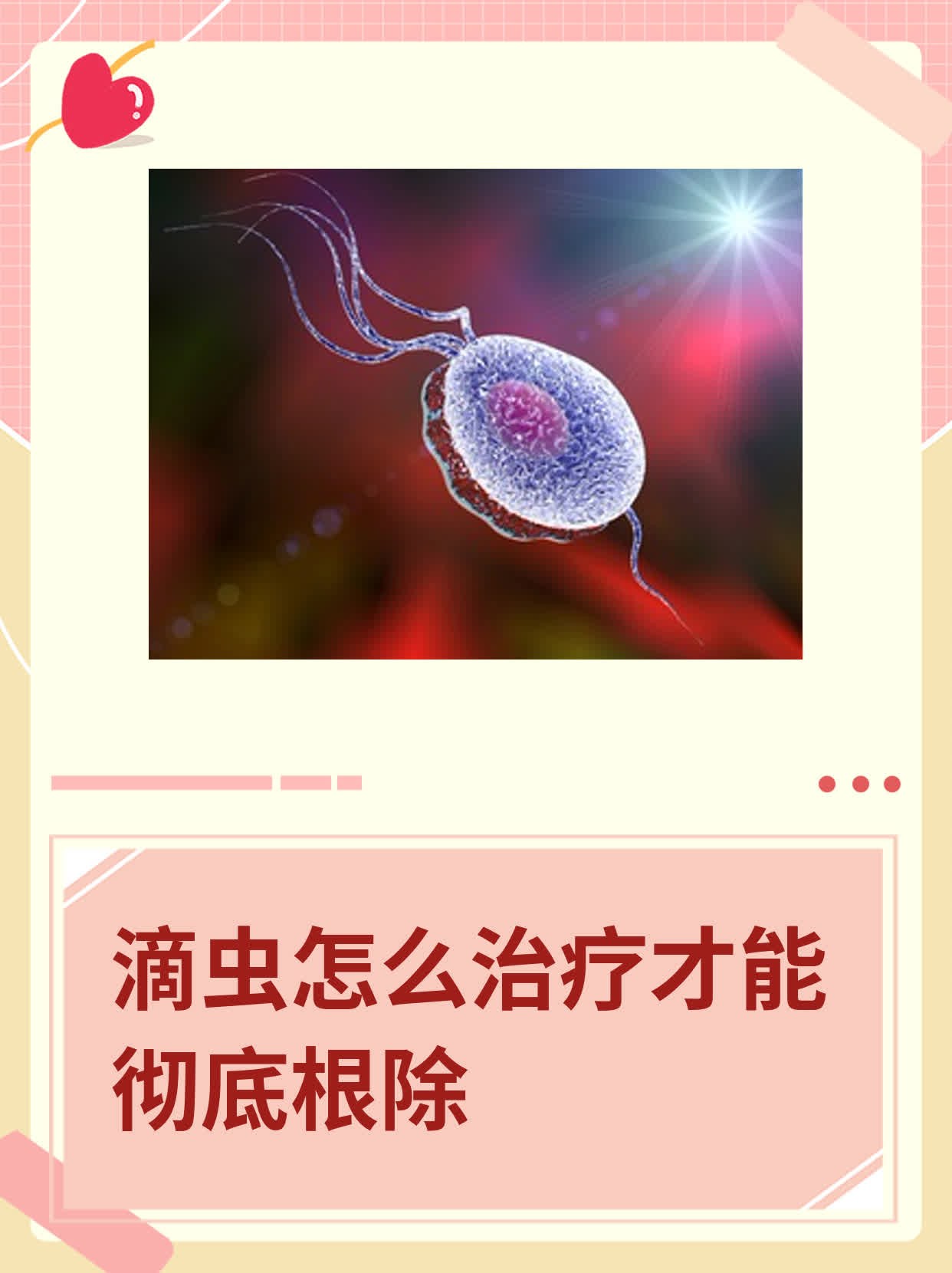 滴虫怎么治疗才能彻底根除