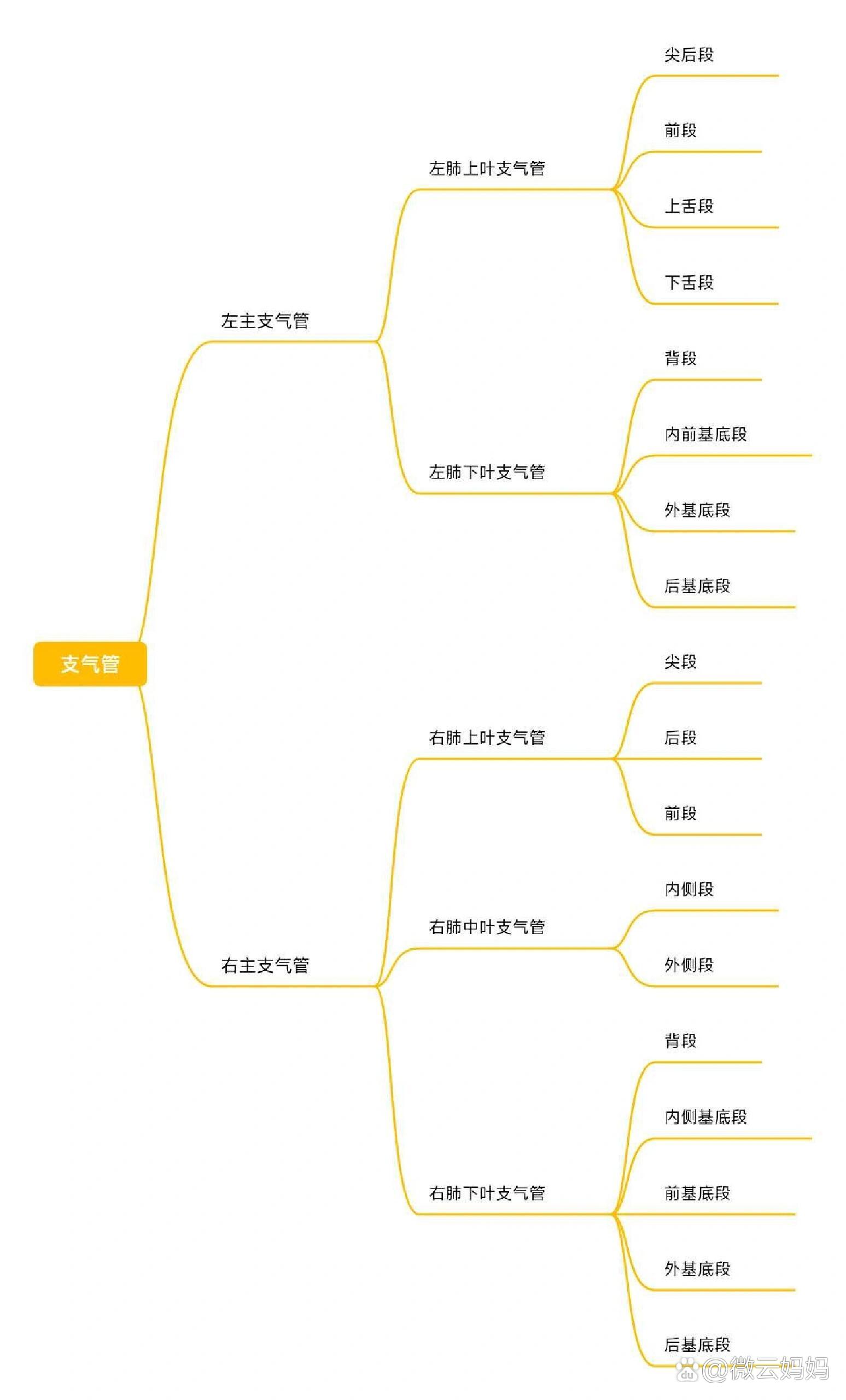 管道的故事思维导图图片