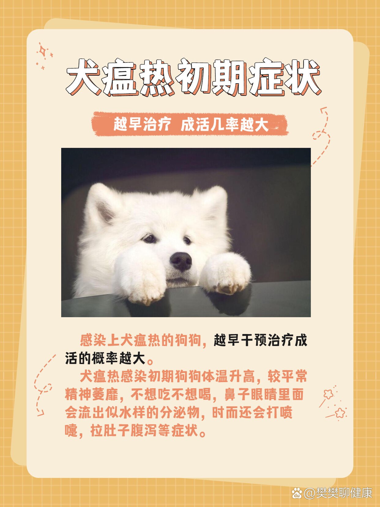 犬瘟热怎么治71