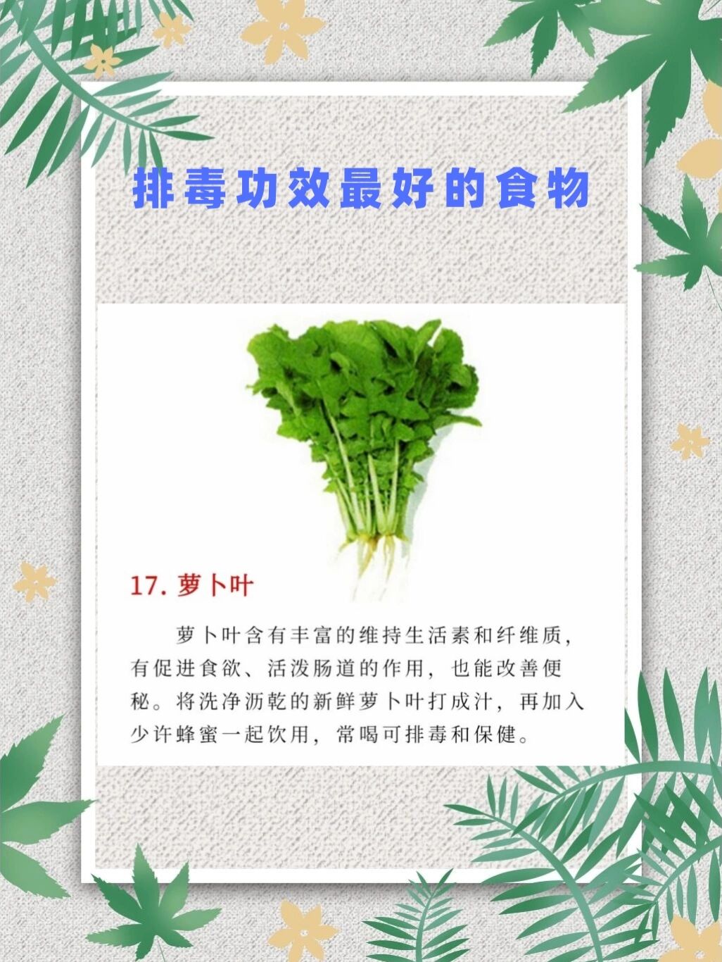 排毒功效最好的食物