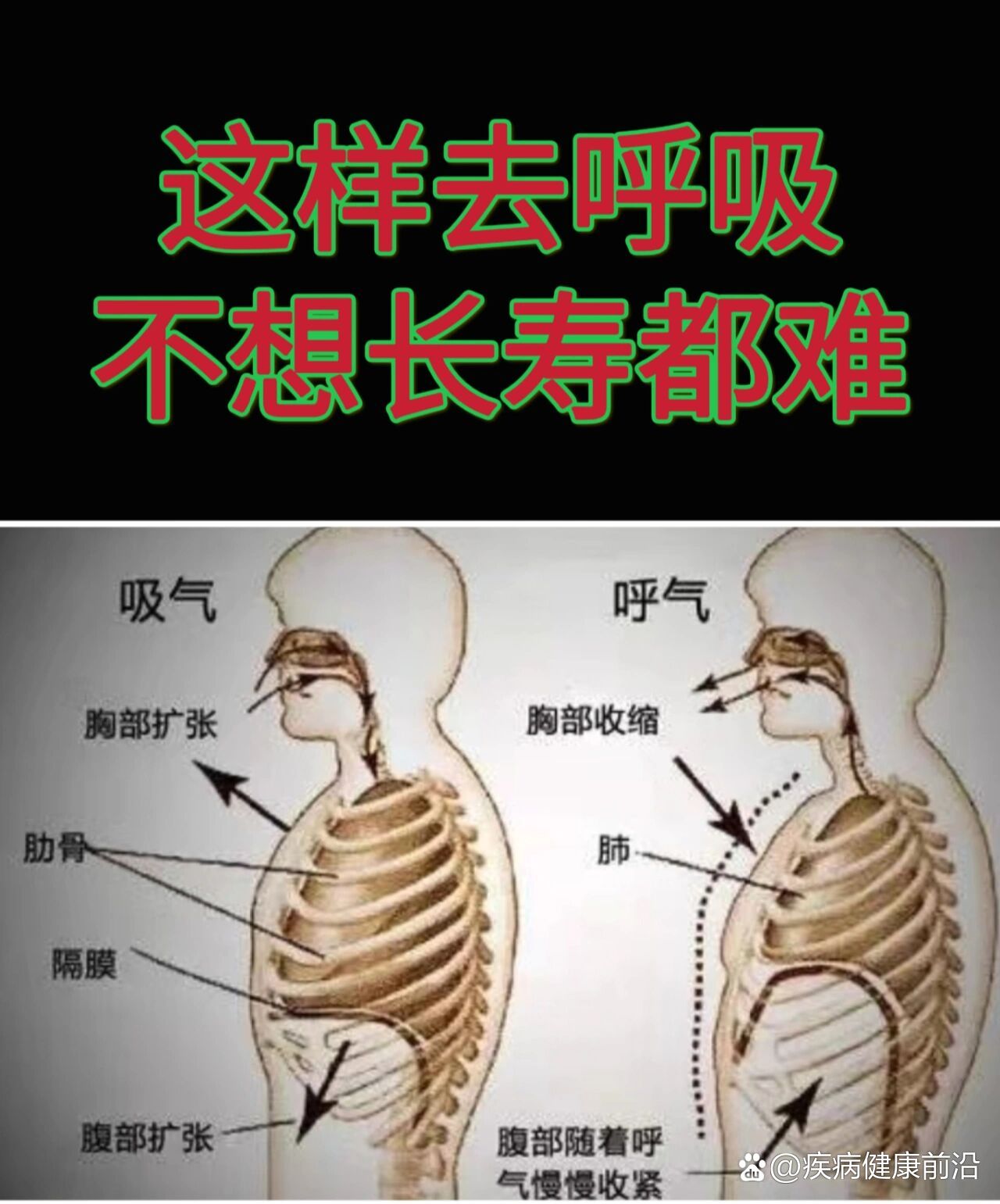 一看就会的腹式呼吸方法