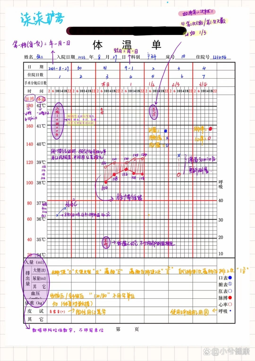 体温单绘制图解图片