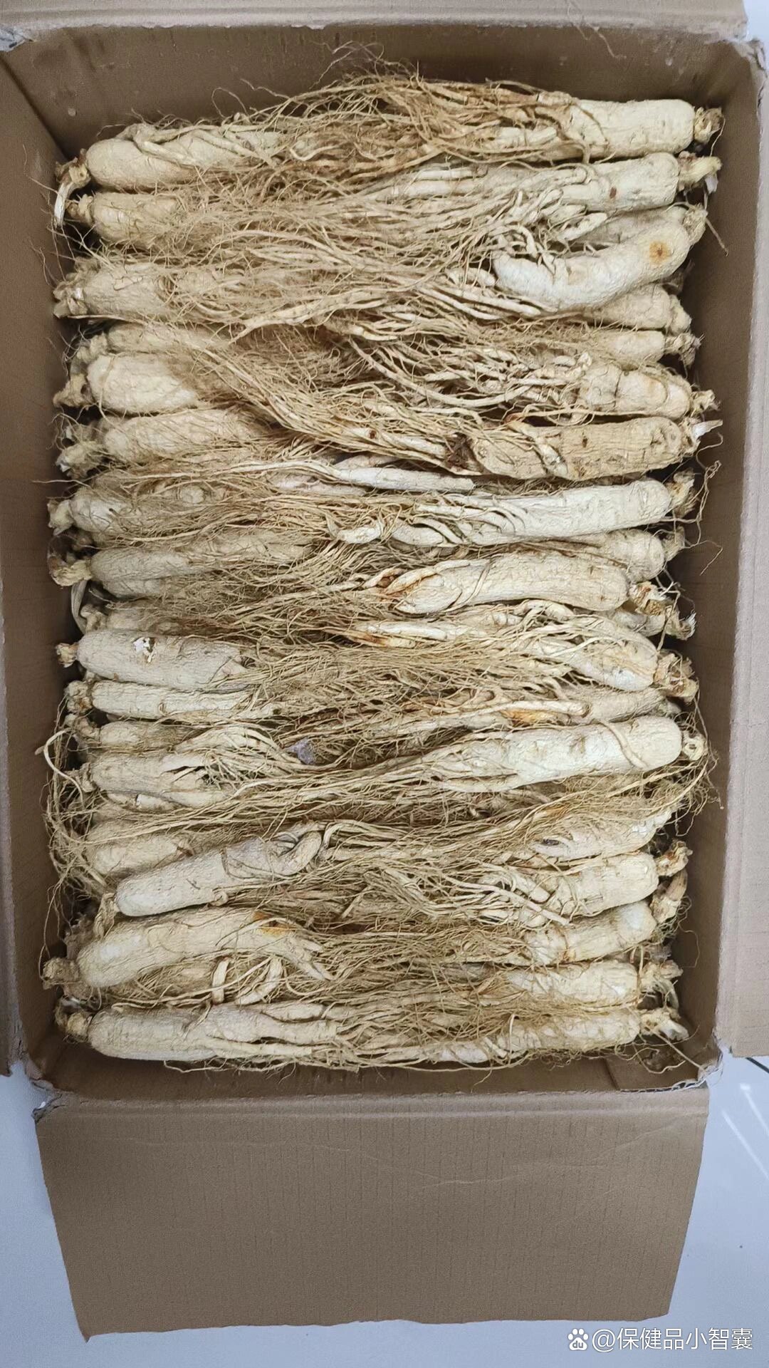 白参功效:益气健脾:白参富含多糖,氨基酸,微量元素等,可促进人体胃肠