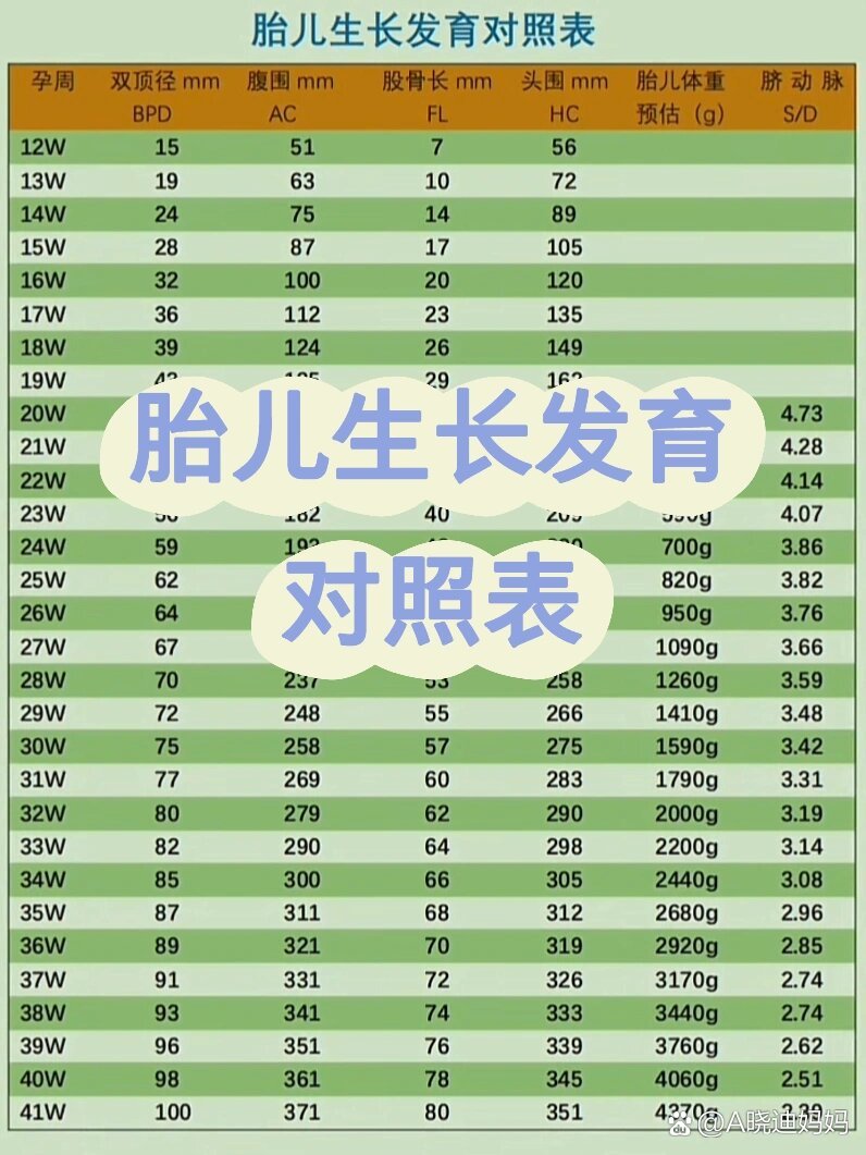 胎儿腿长看哪个数据图片