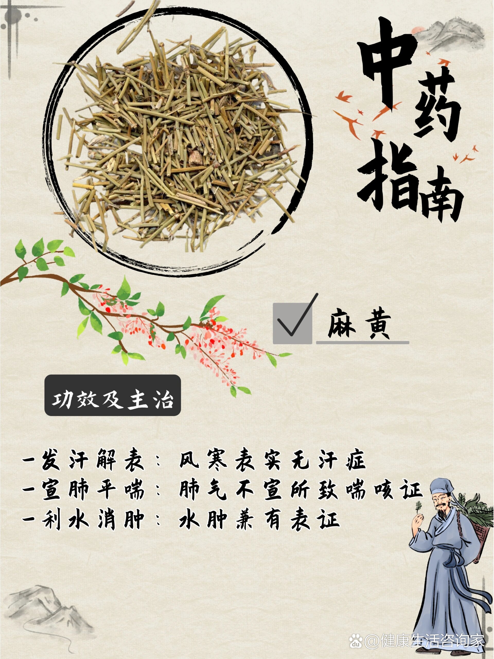 麻黄根用法用量图片