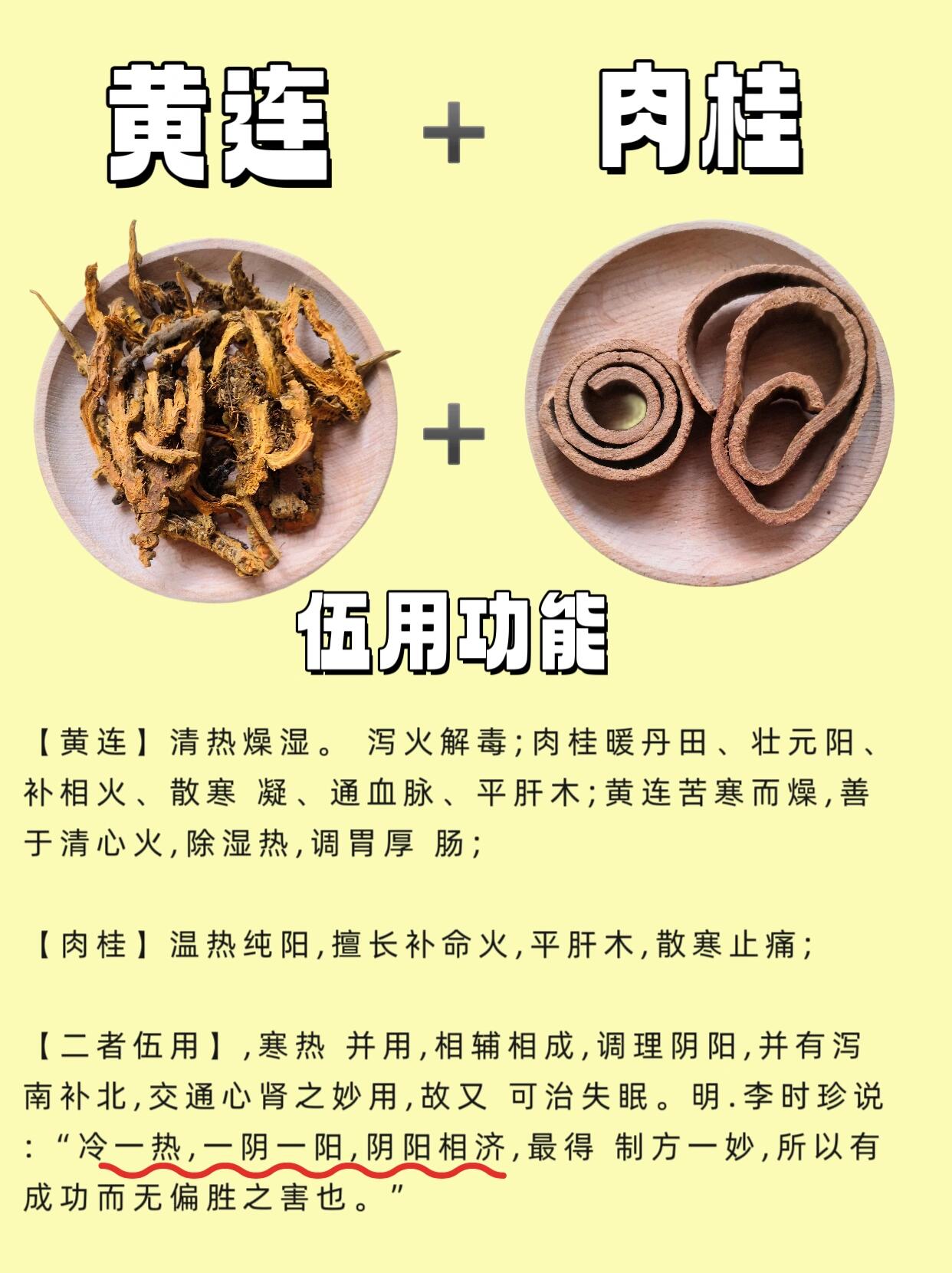 张氏对药|黄连对肉桂,原材实拍