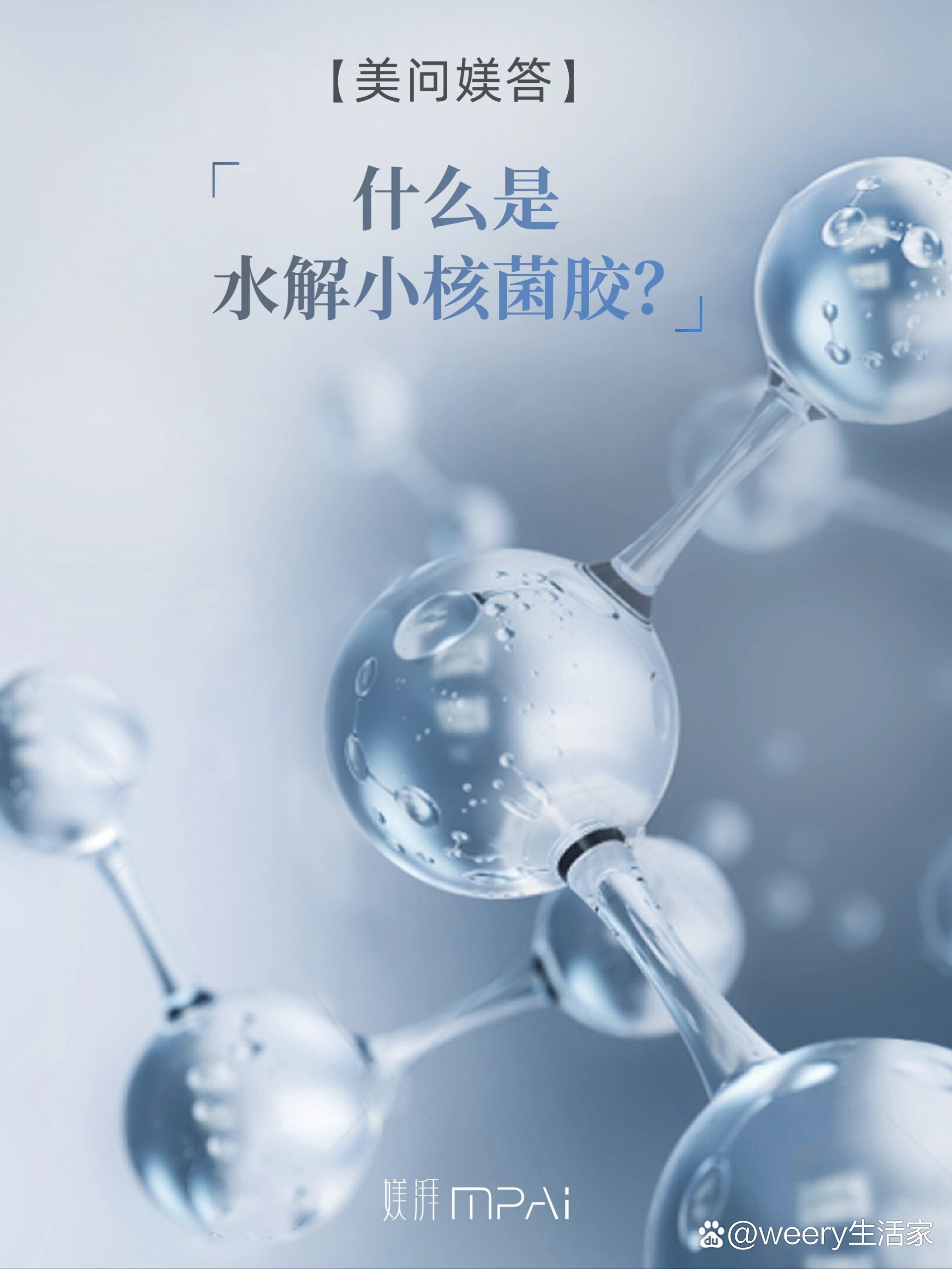 什么是水解小核菌胶?